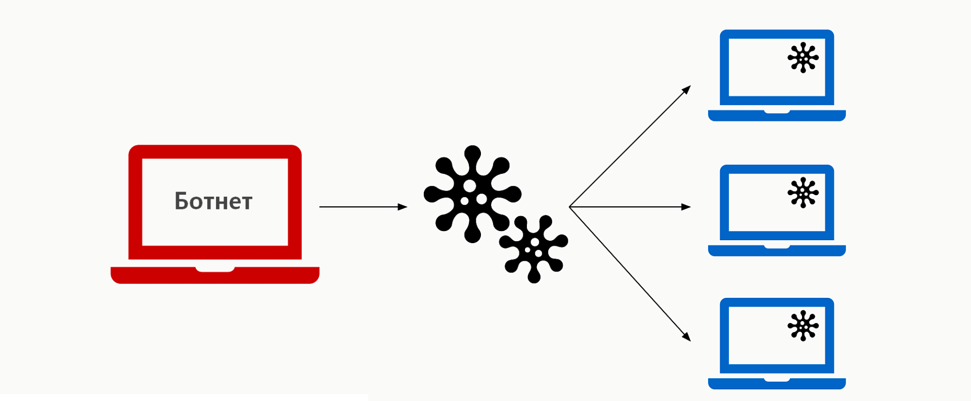 Botnet ☣